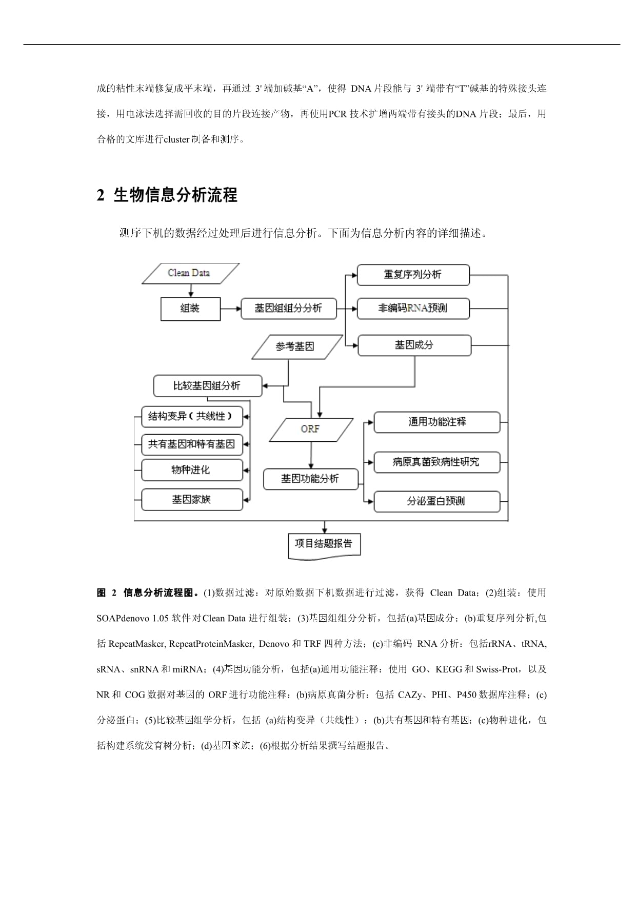 真菌基因组denovo结题报告